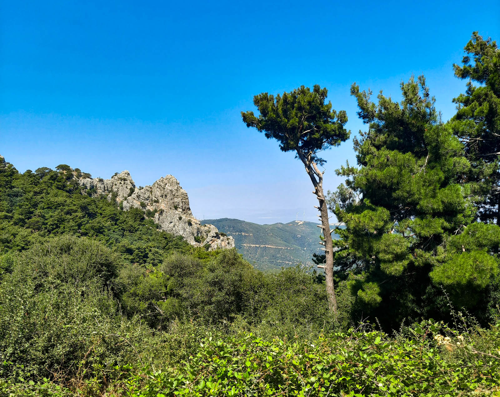 Karagöl Tabiat Parkı