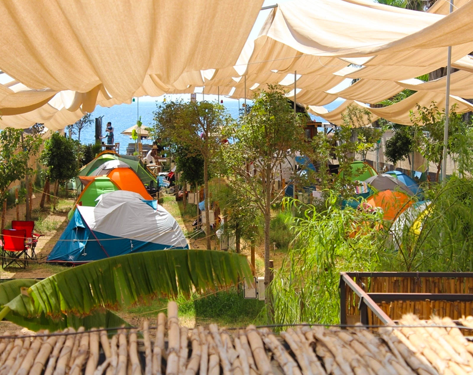 Bambu Kamp