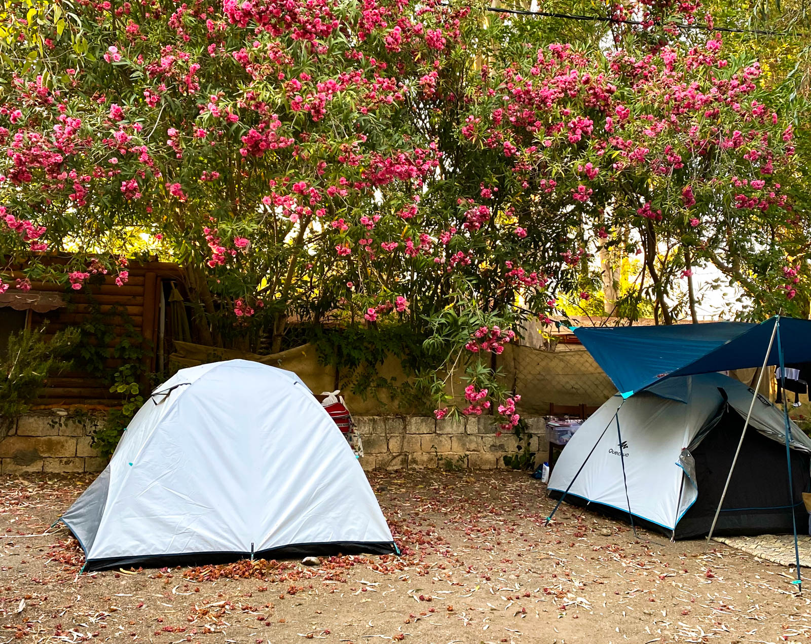 İliman Restoran Camping Beach