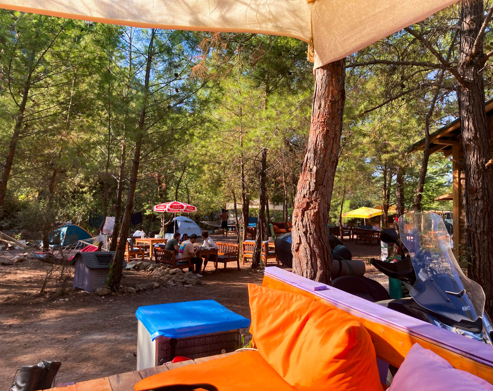Famous Camping
