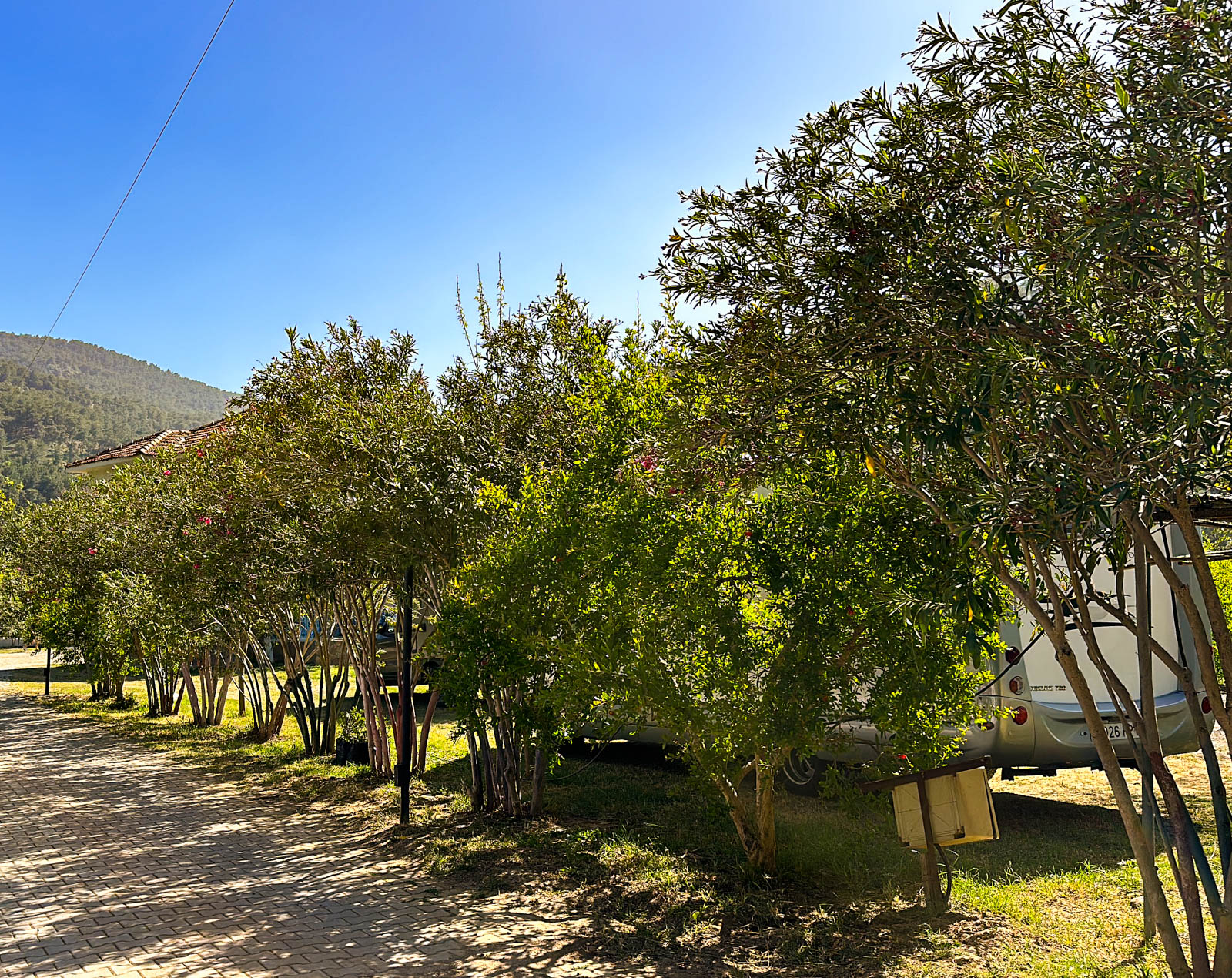 Ekin Kır Evi Camping