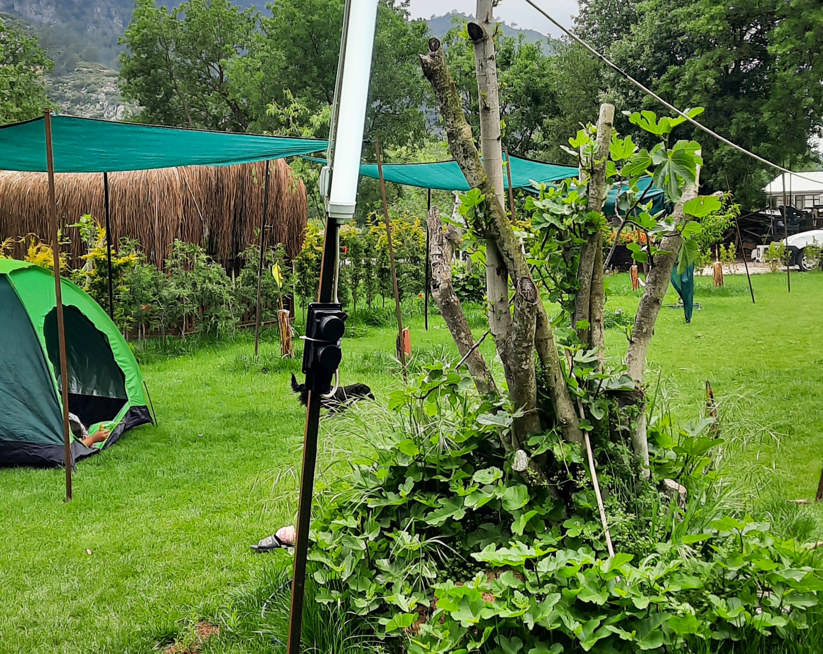 Elif & Bade Glamping