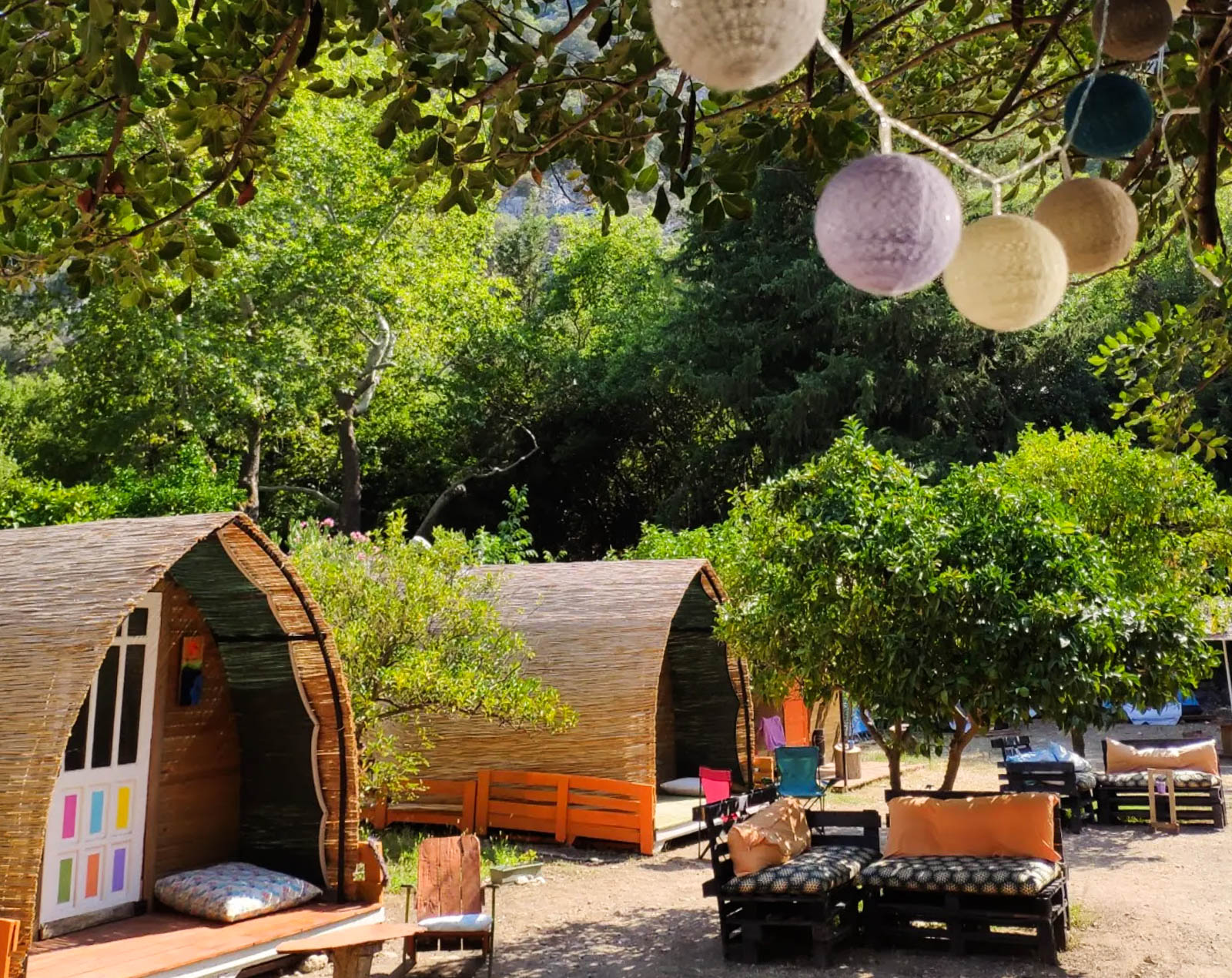 Papaya Camping