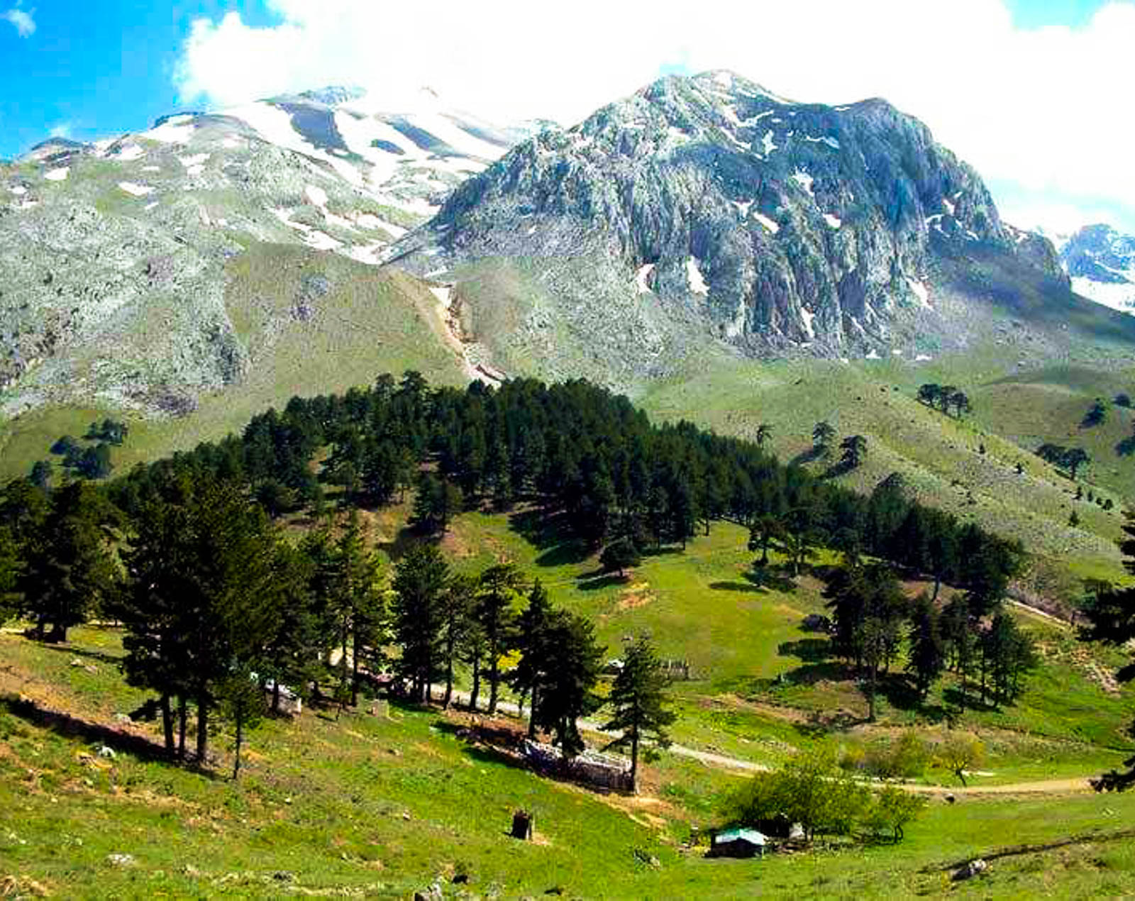 Melikler Yaylası