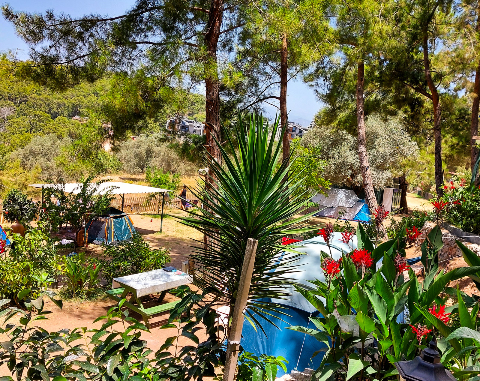 Aydede Camping Restaurant