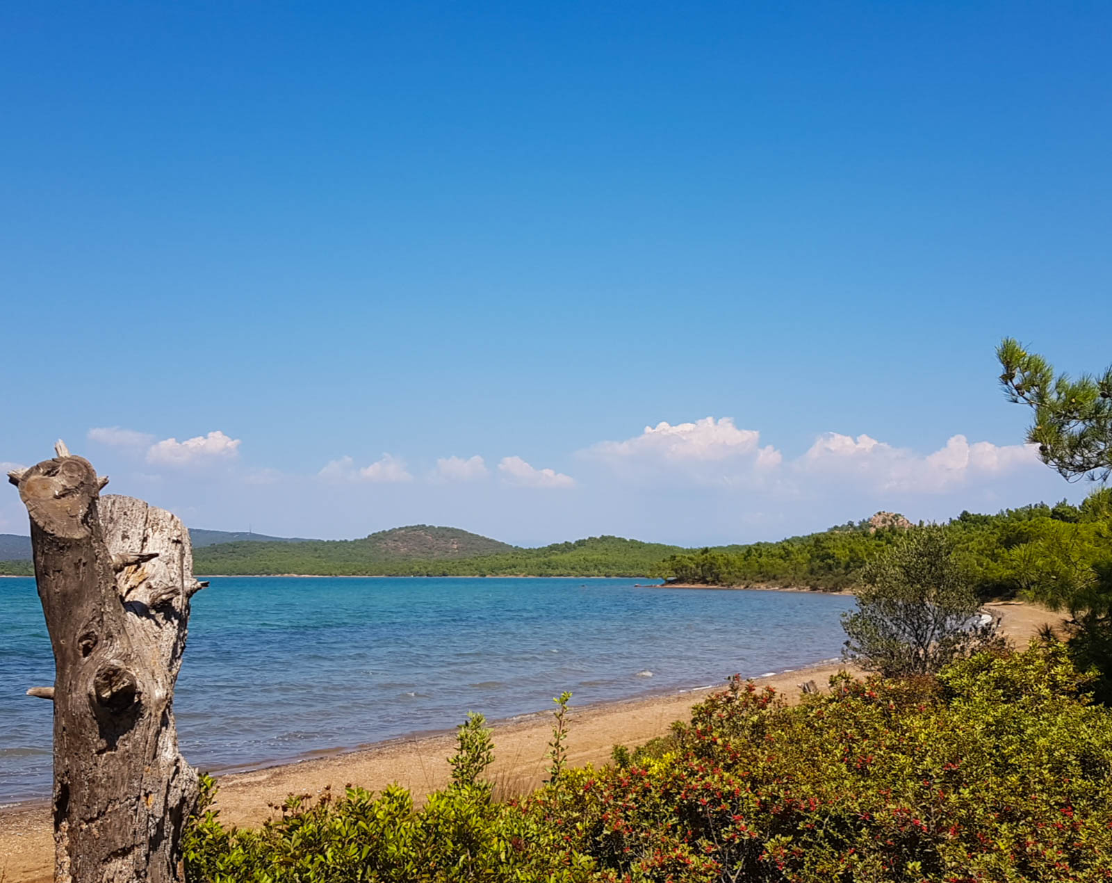 Ayvalık Adaları Tabiat Parkı