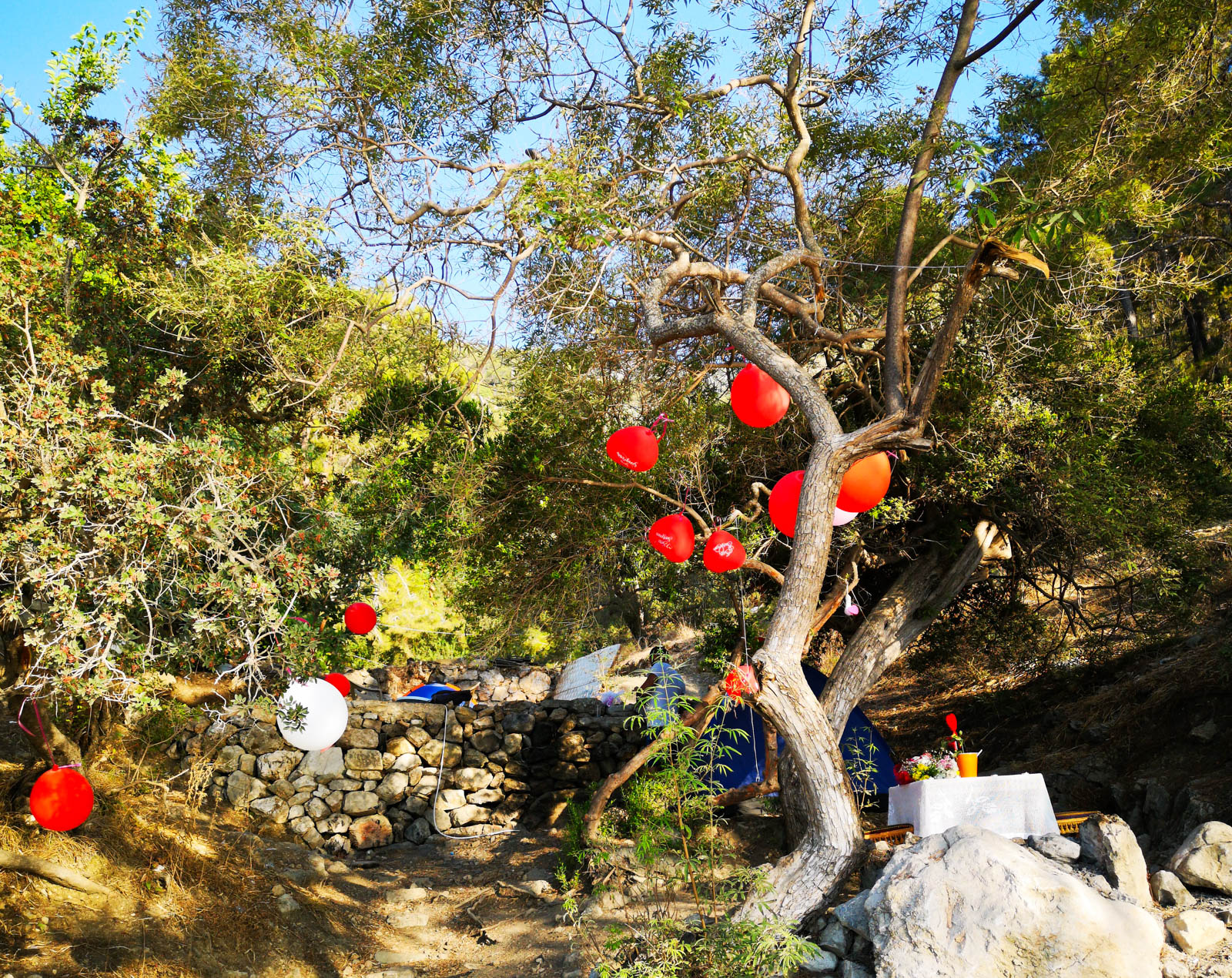 Furkan Camping