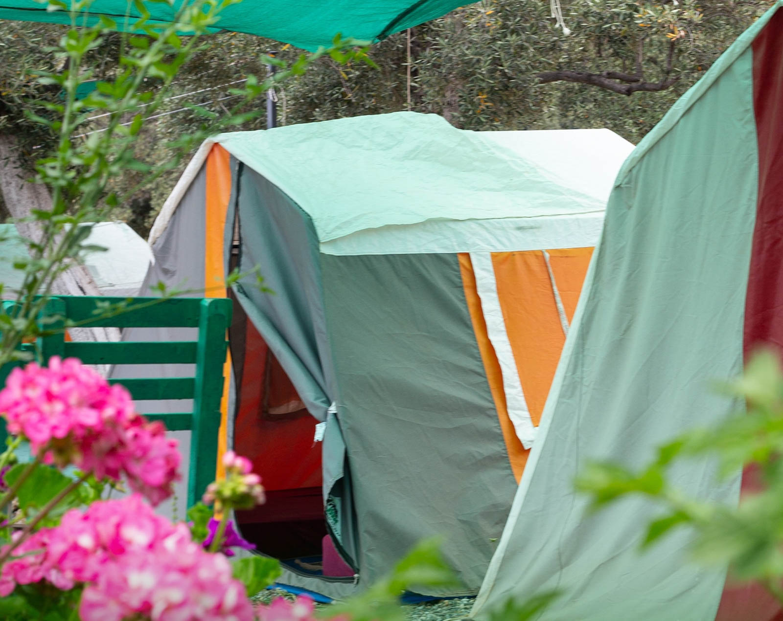 Koza Camping