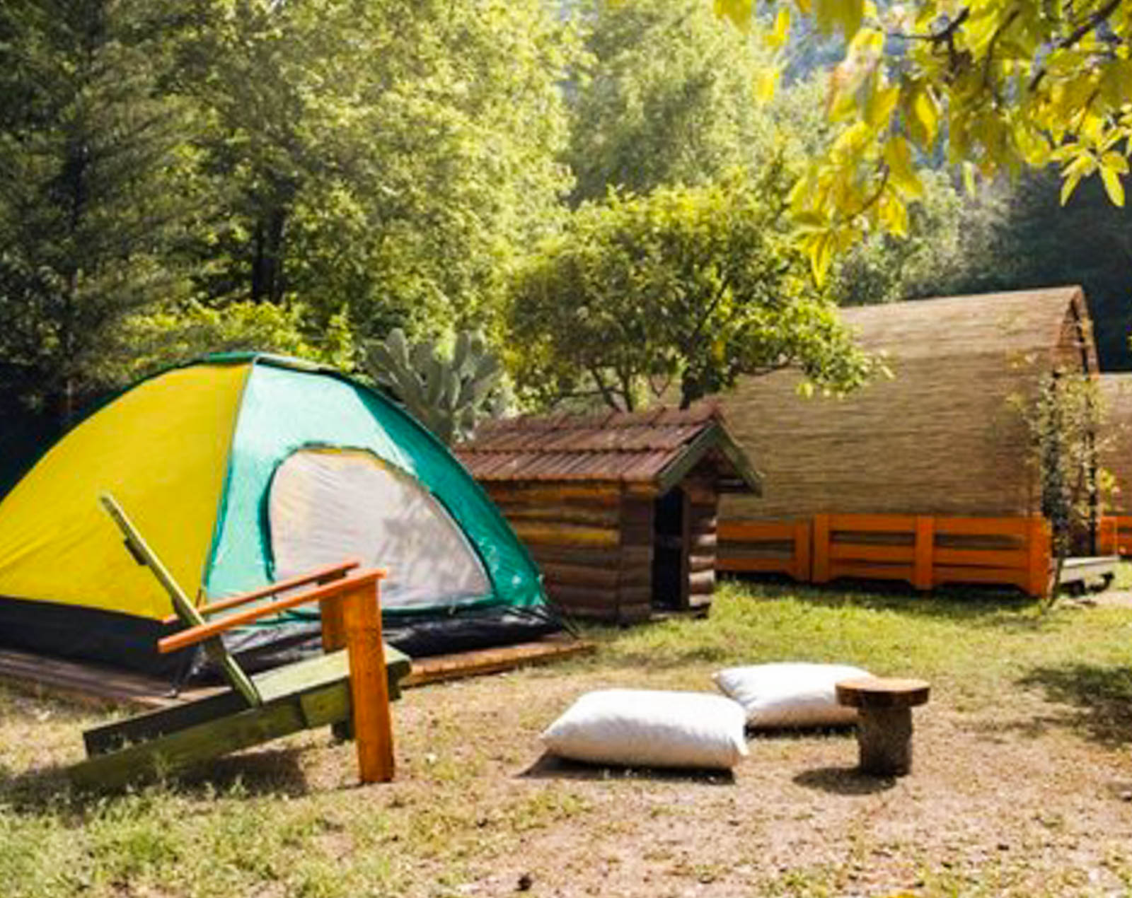 Papaya Camping