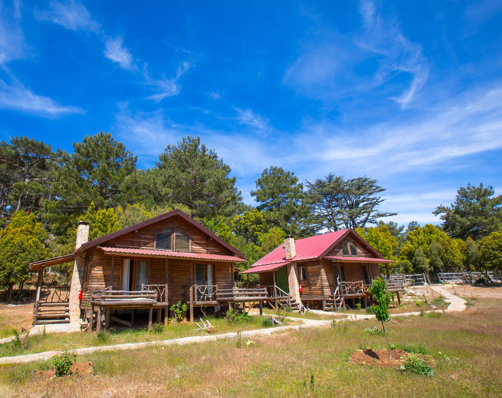 Babakamp Eco Ranch & Retreat