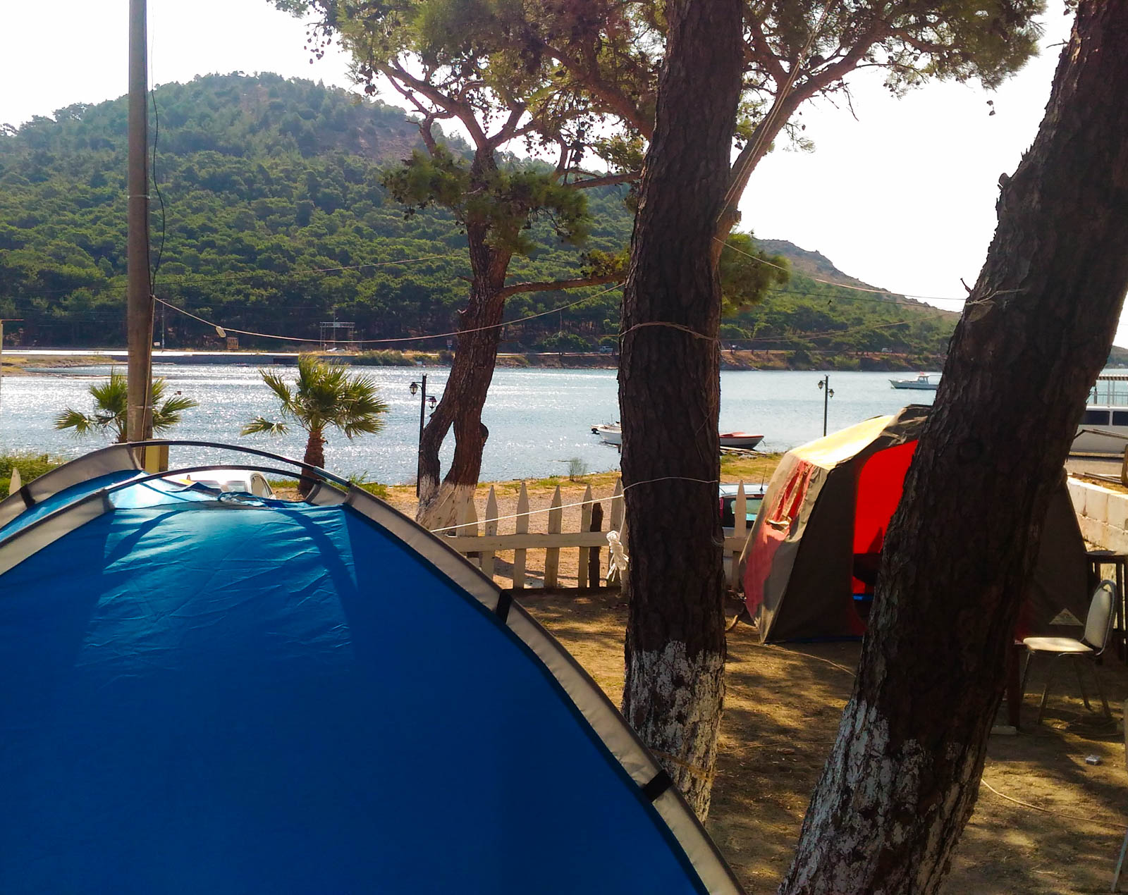 Ayvalık Çamlık Kamping