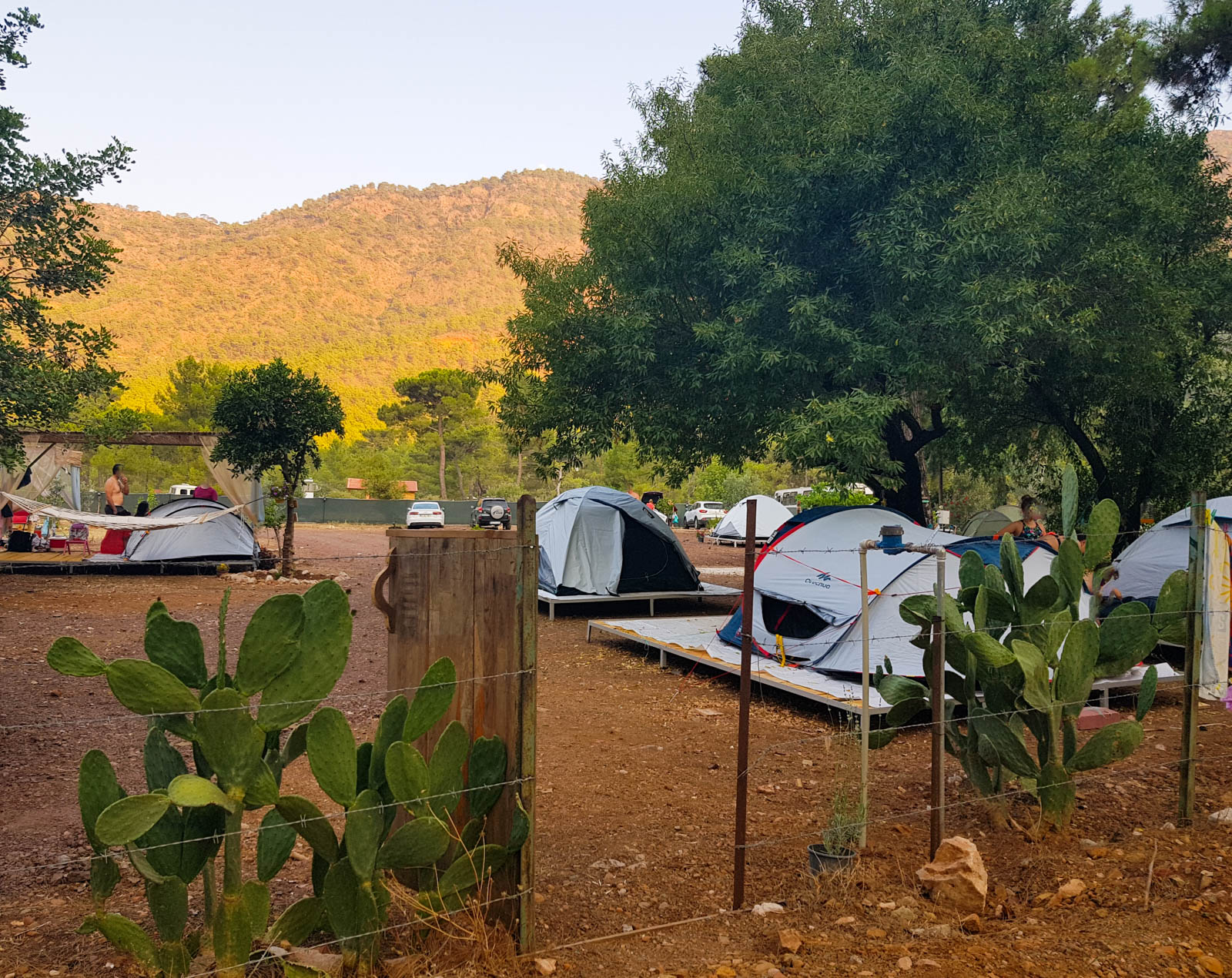 La Tortuga Camping