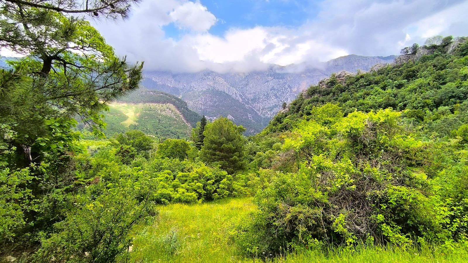 Belemedik Tabiat Parkı