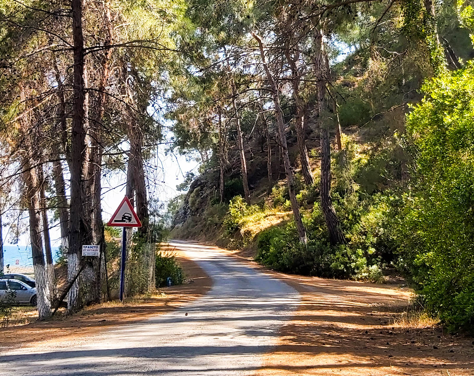Çaylı Camping