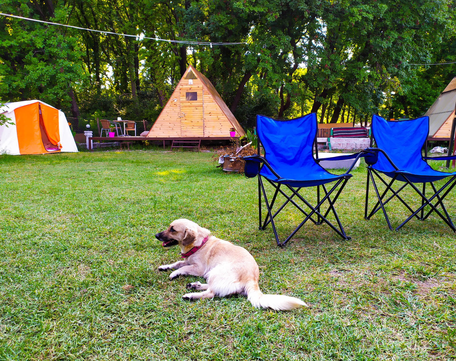 Dalyan Doğa Camping