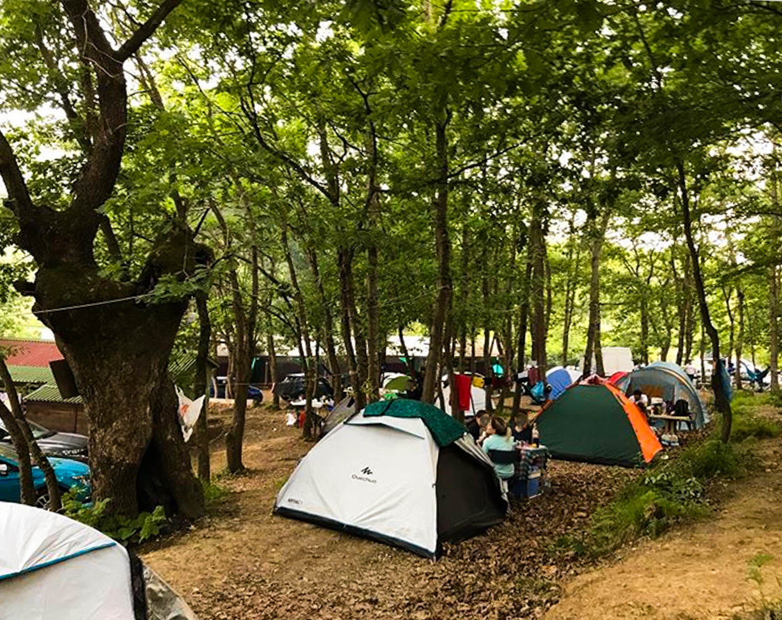 Ağva Seferoğulları Kamping