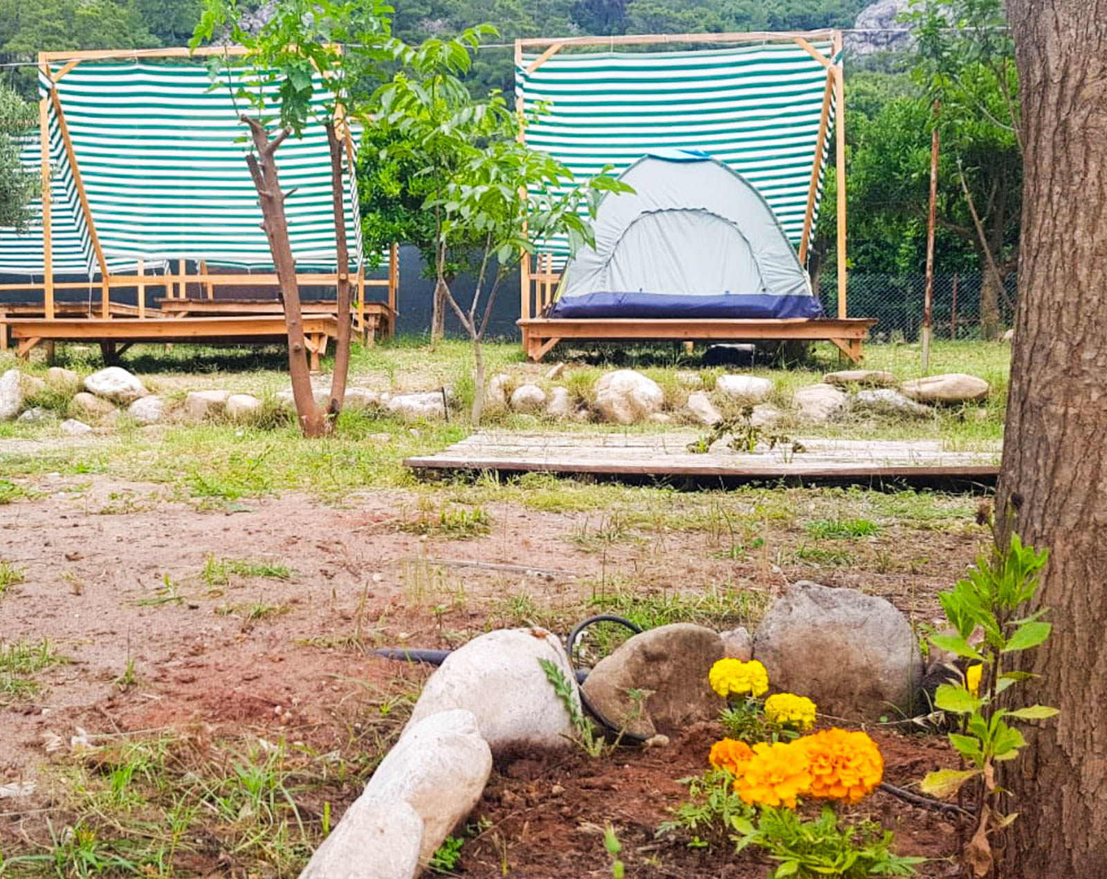 Olympos Orange Camping