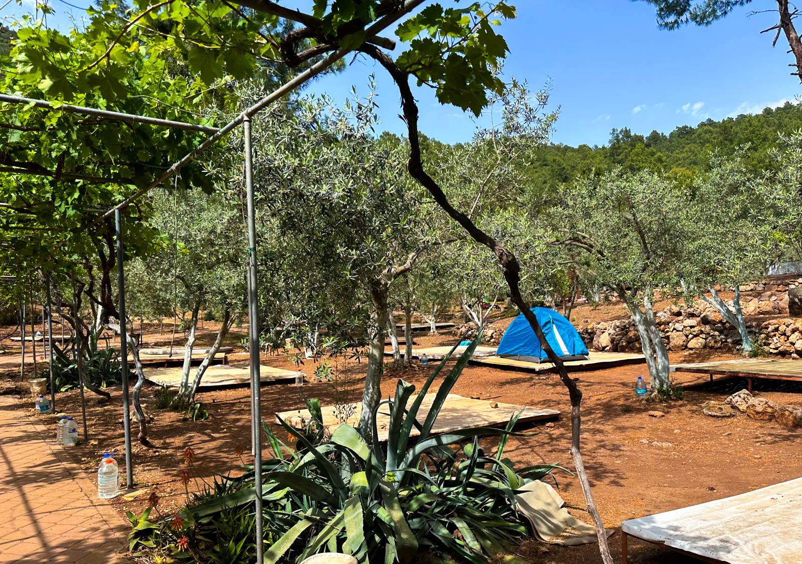 Ölüdeniz Doğa Kamp