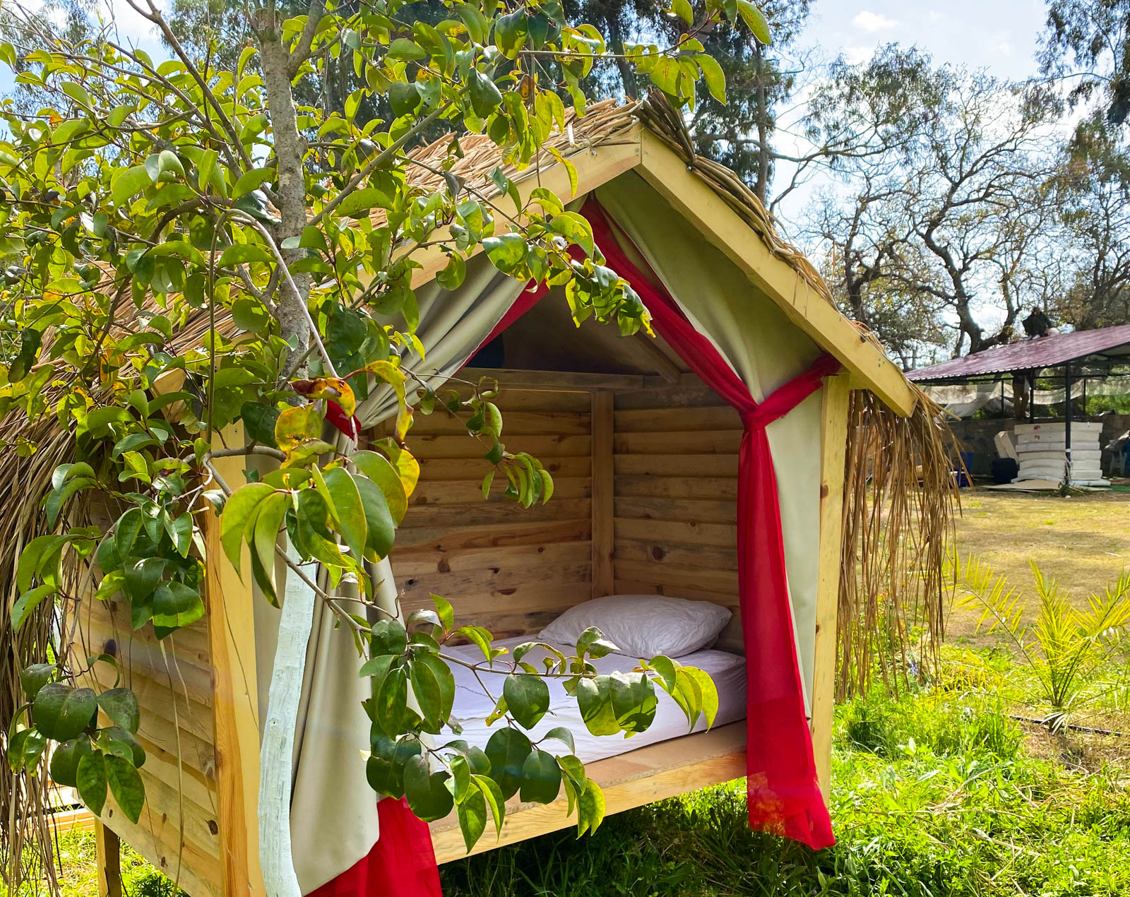 Bodrum Masalı Camping