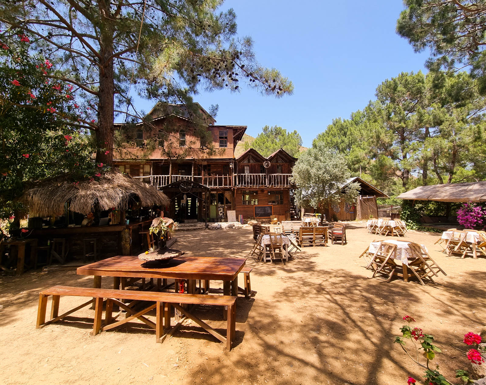 Jungle Bungalows & Camping