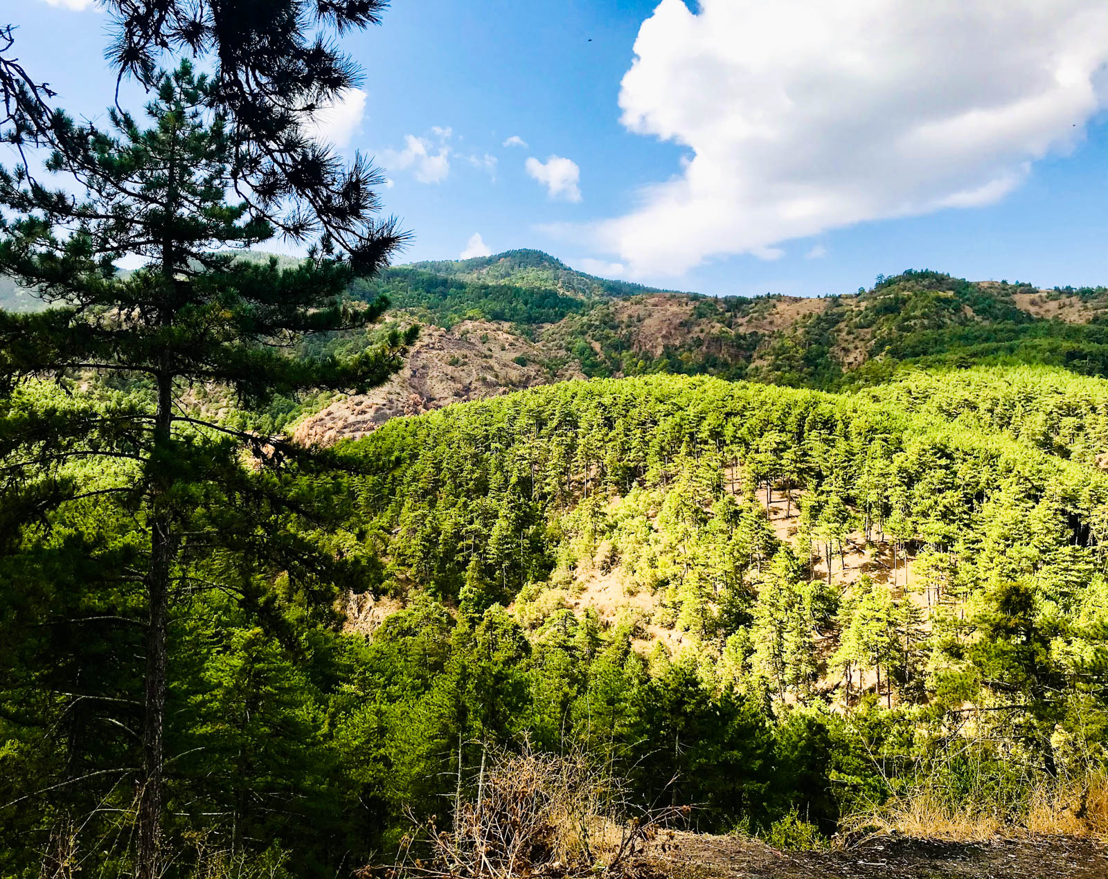 Soğuksu Milli Parkı