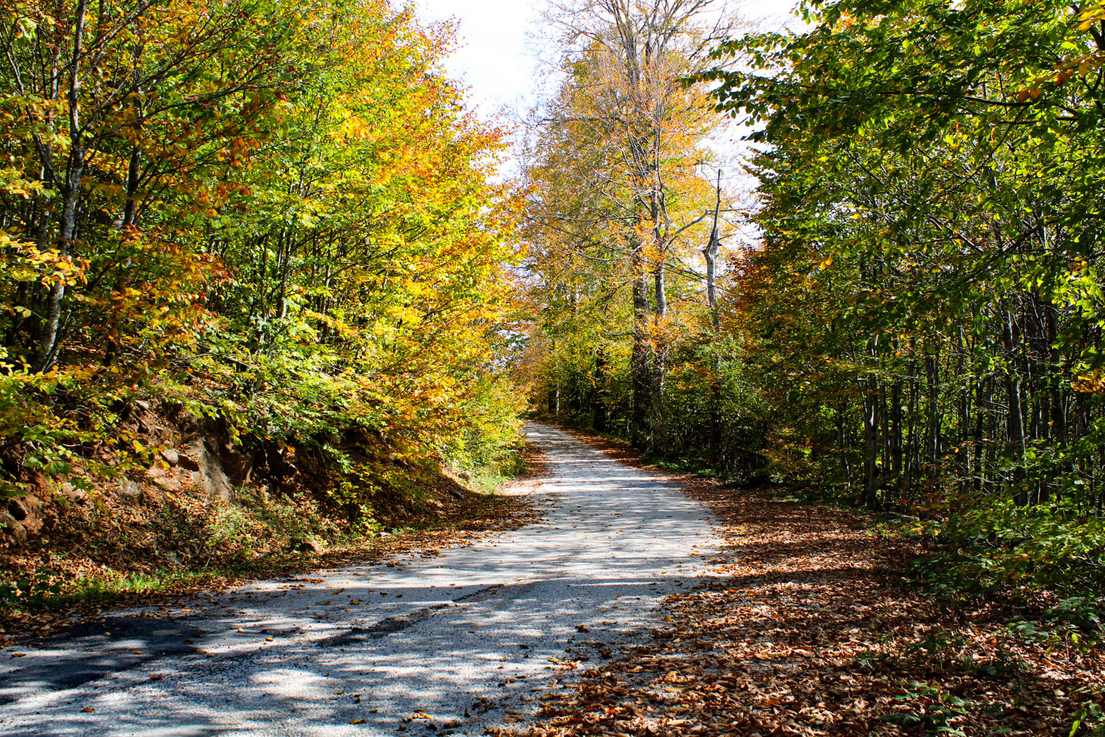 Kuzuyayla Tabiat Parkı