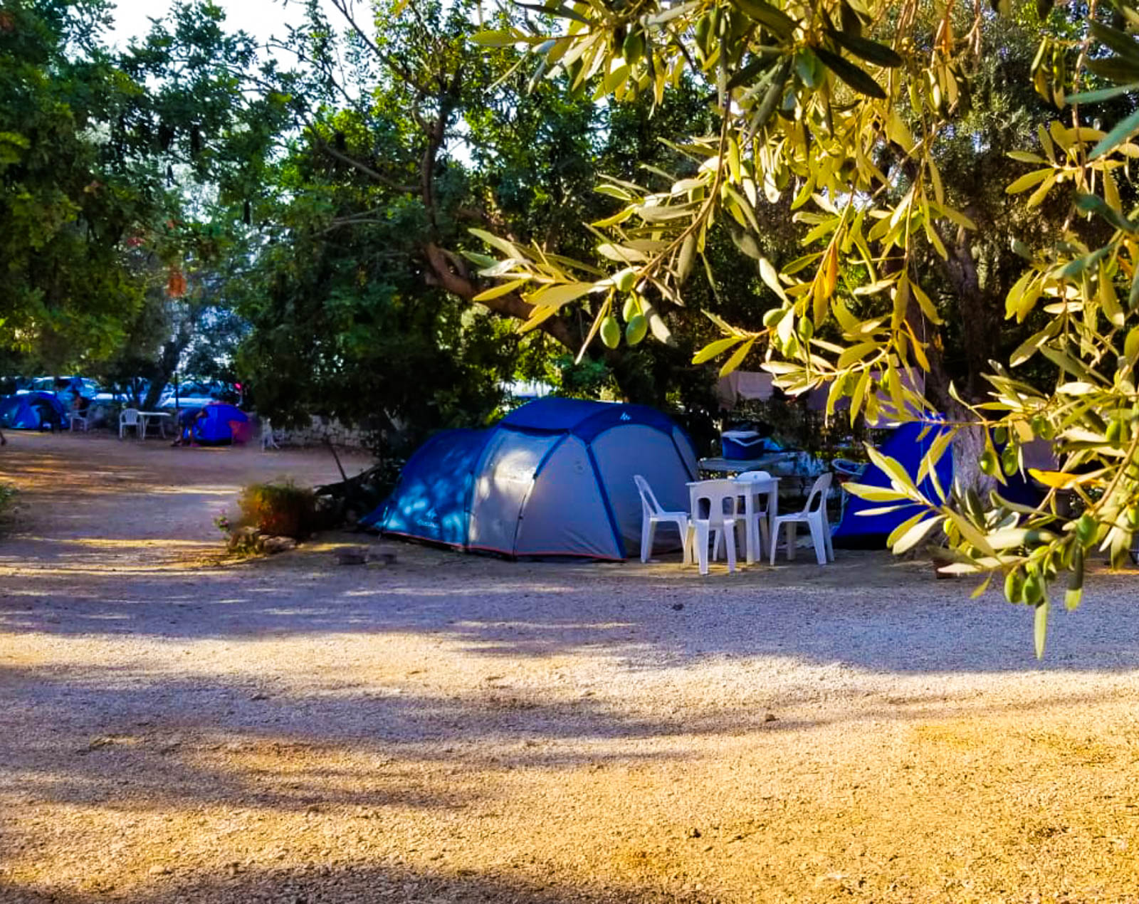 Kaş Olympos Mocamp