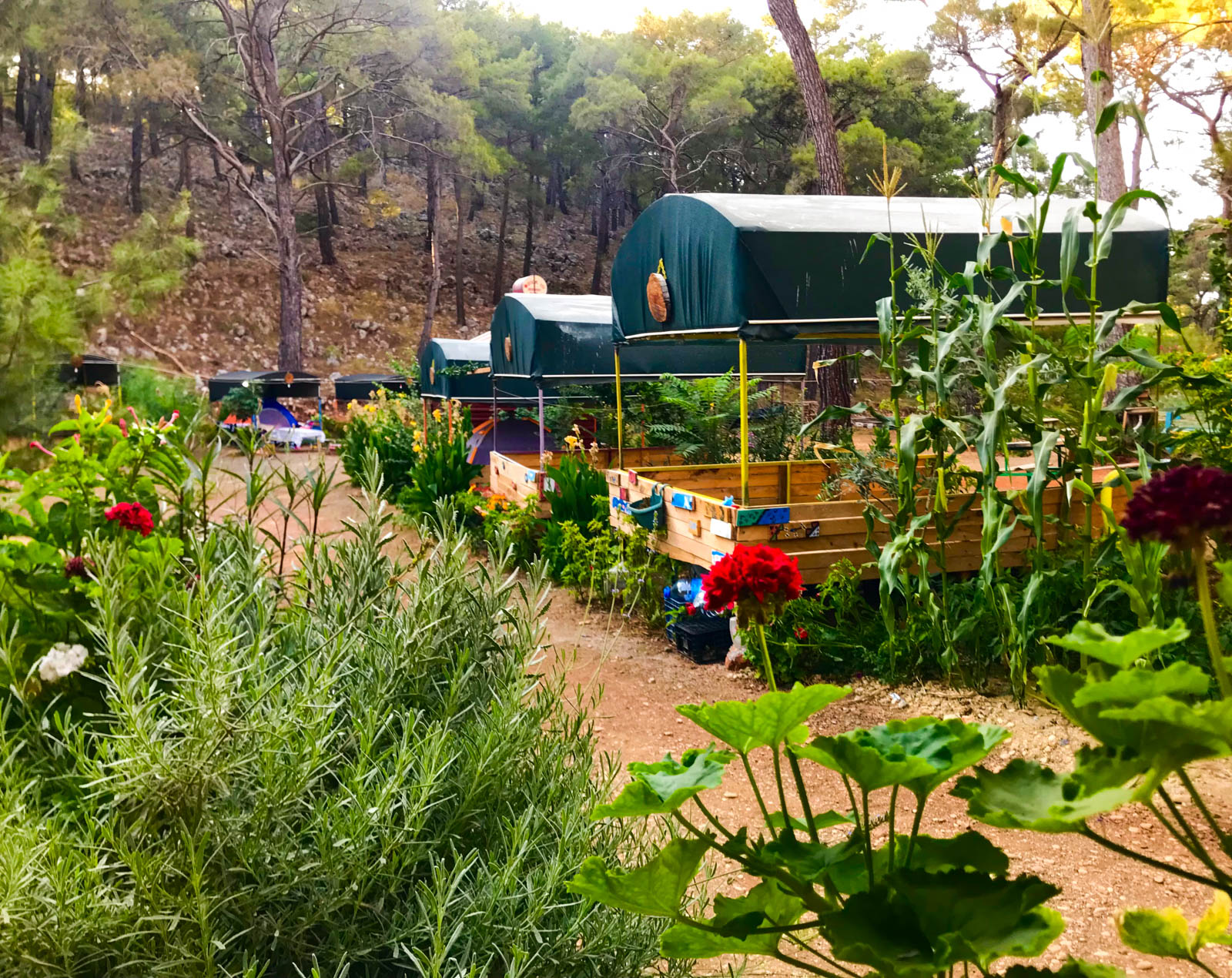 Beş Adalar Camping