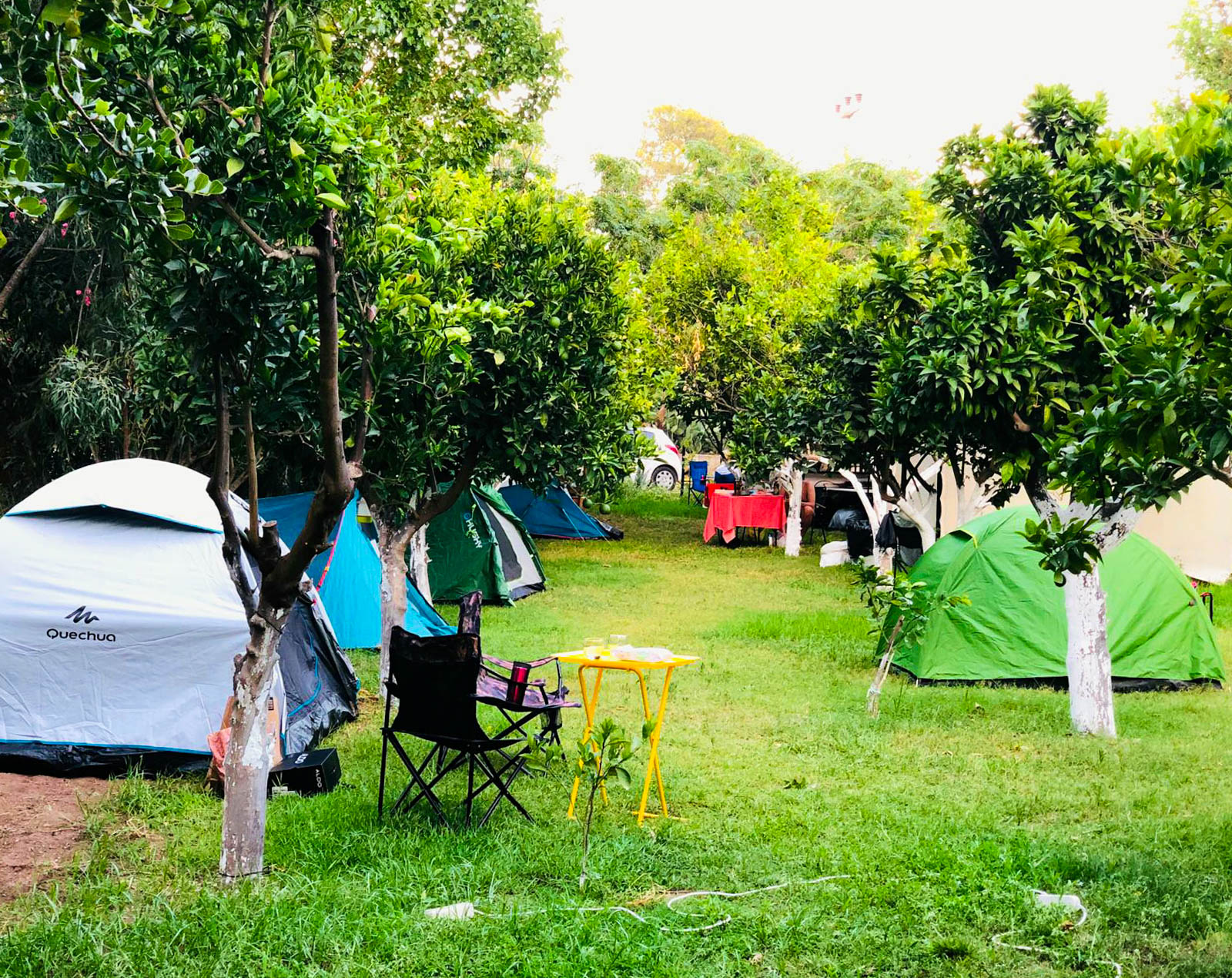 Çıralı Beach Camping & Caravan