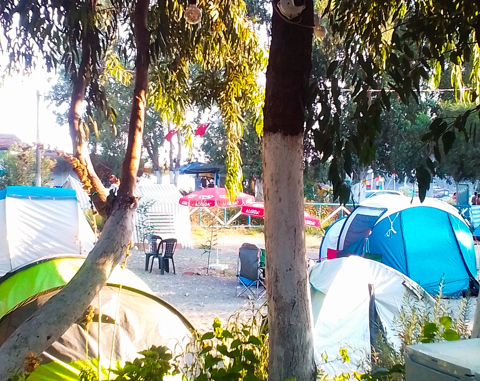 Çaylı Camping