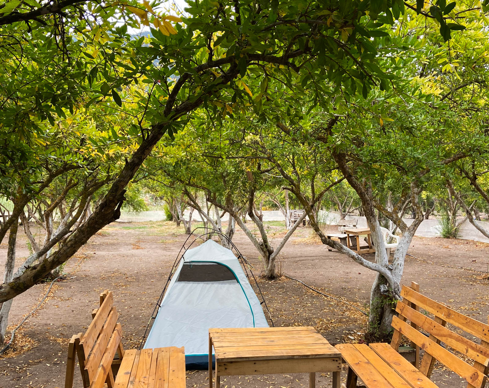 Ayyıldız Camping