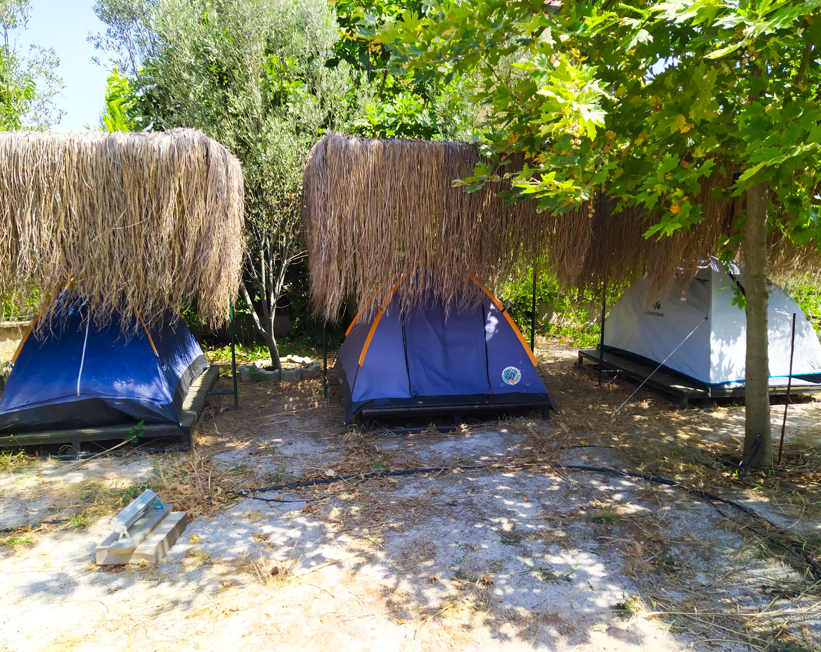 Chillsteps Hostel & Camping