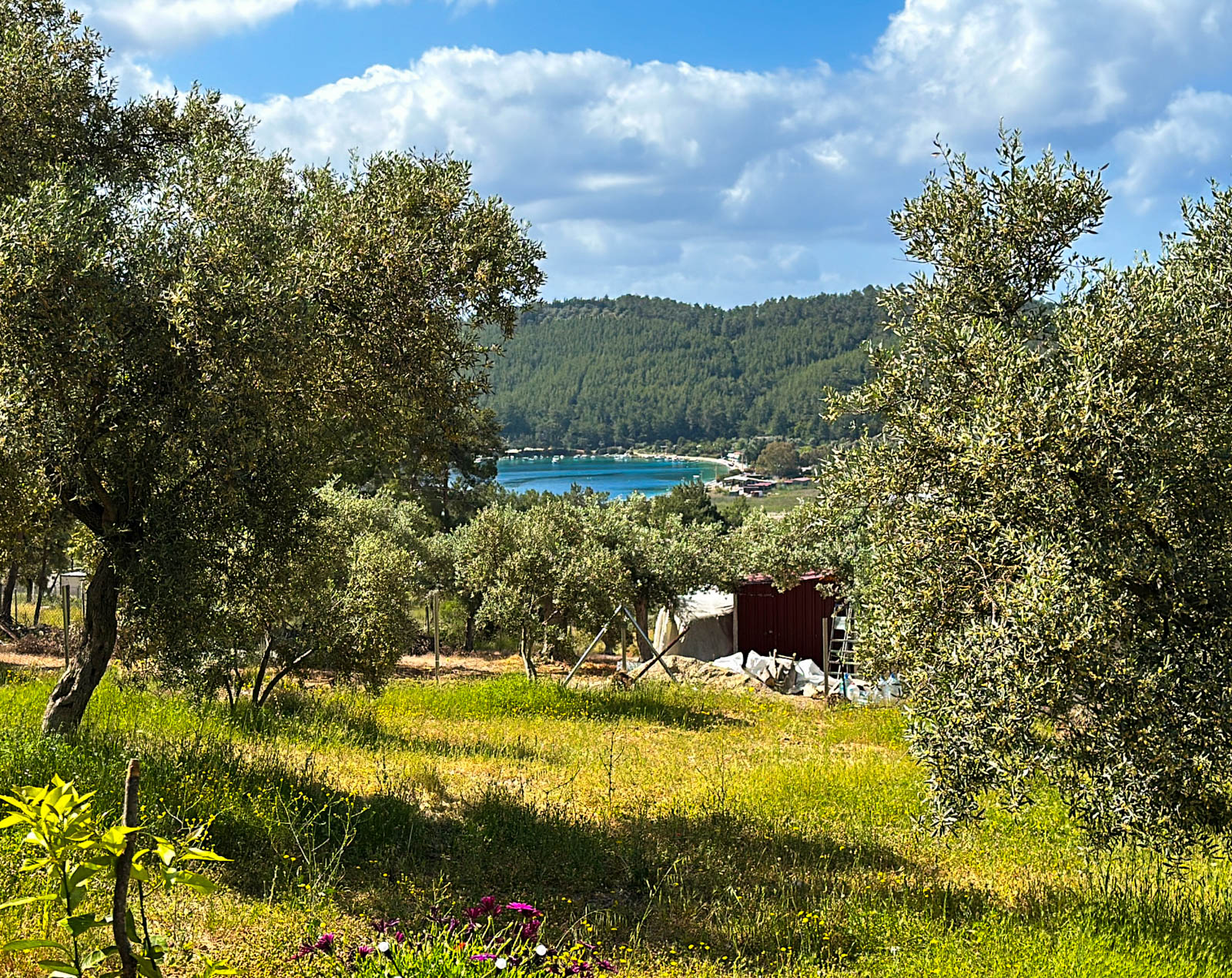 Kardelen Camping