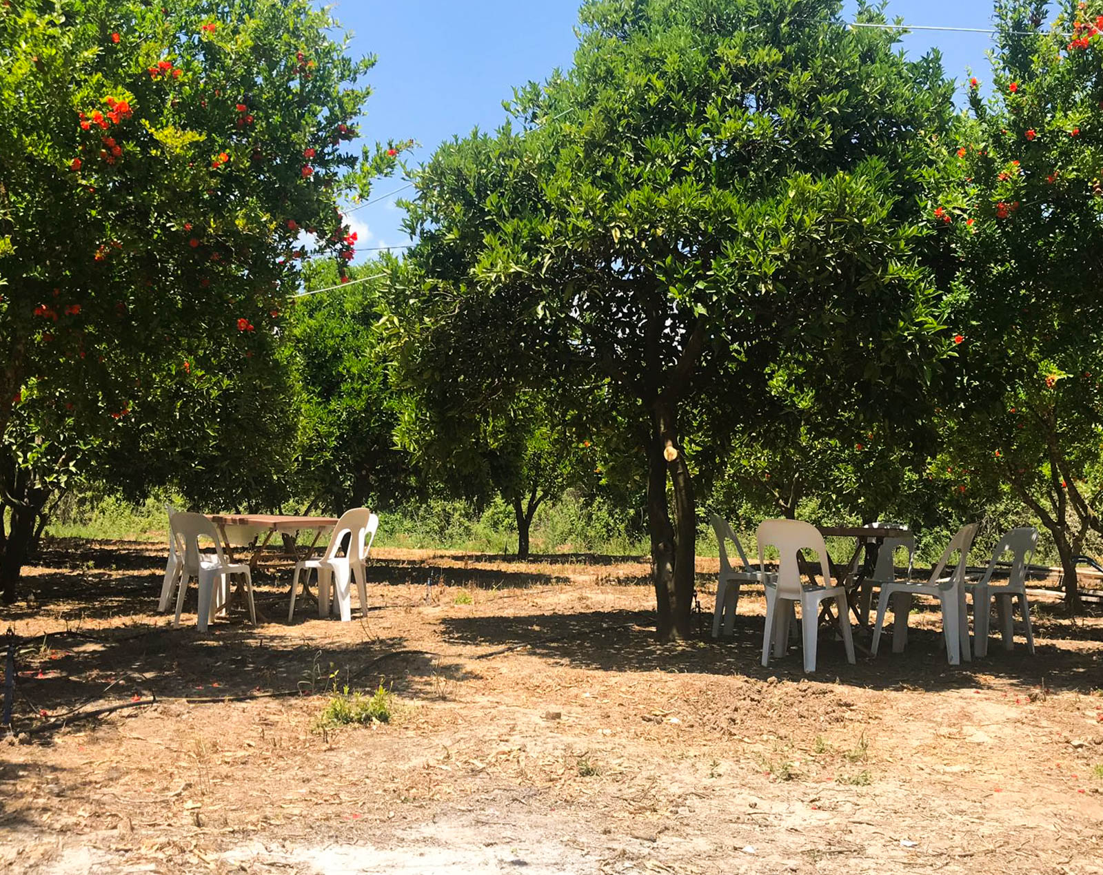 Gonca Camping Adrasan
