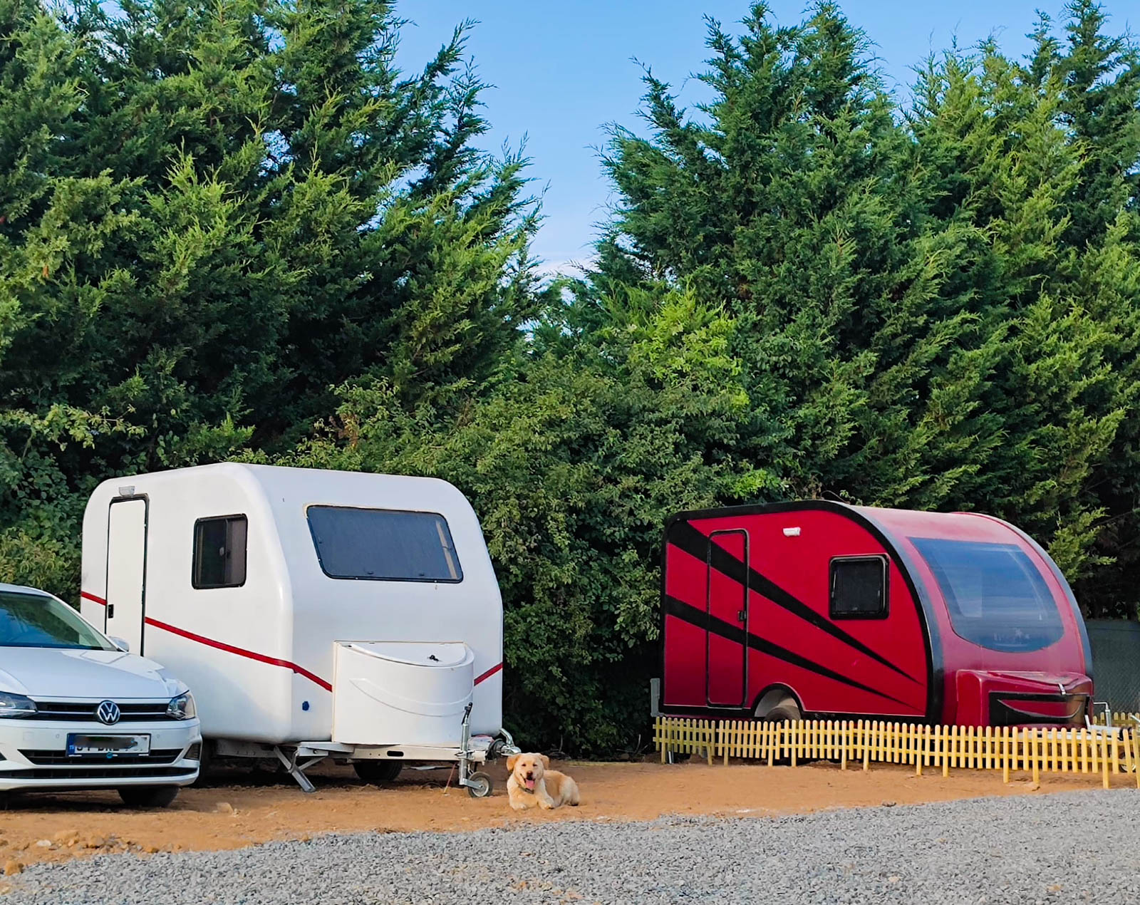Kaplumbağa Camping