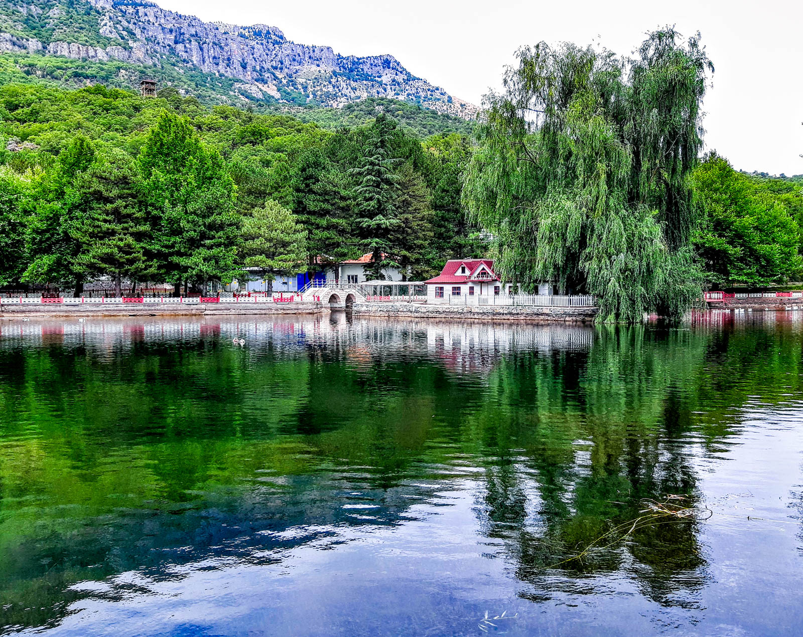 Kocakoru Tabiat Parkı