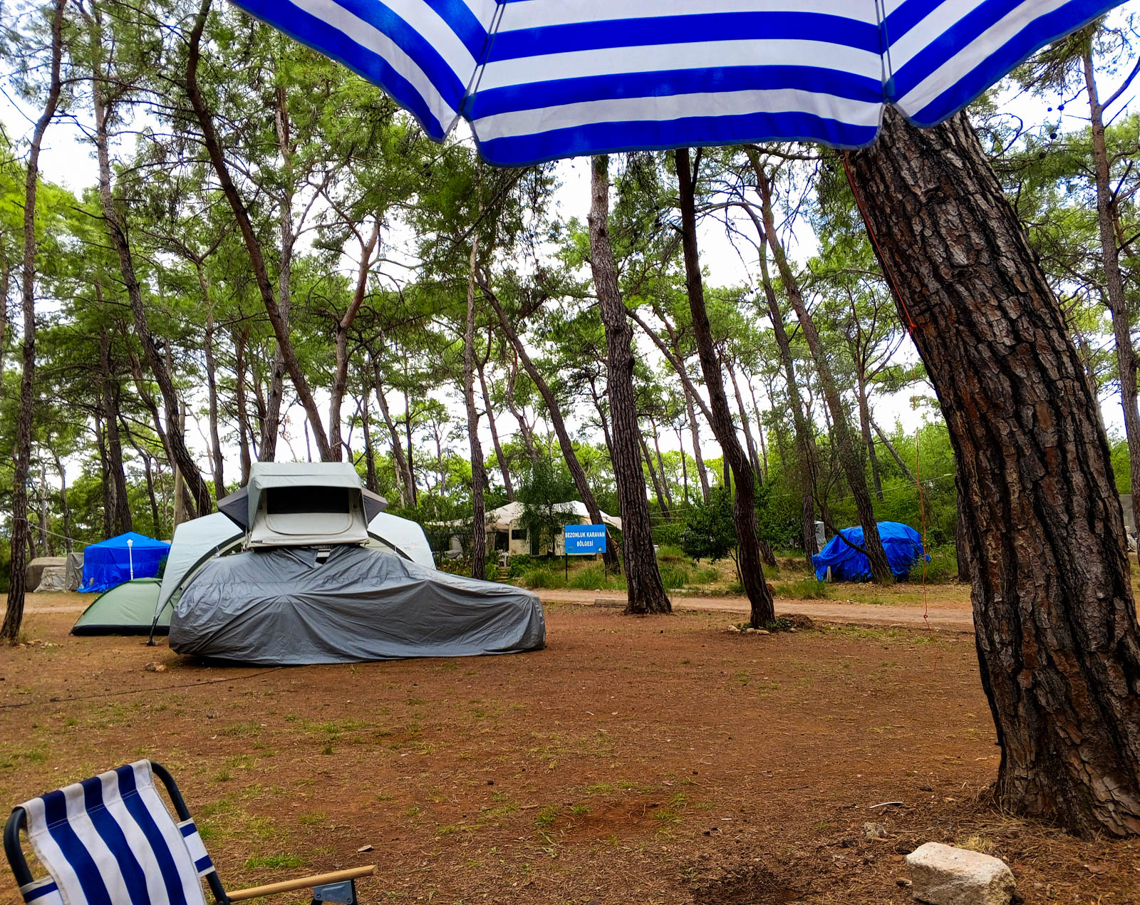 Katrancı Orman Parkı