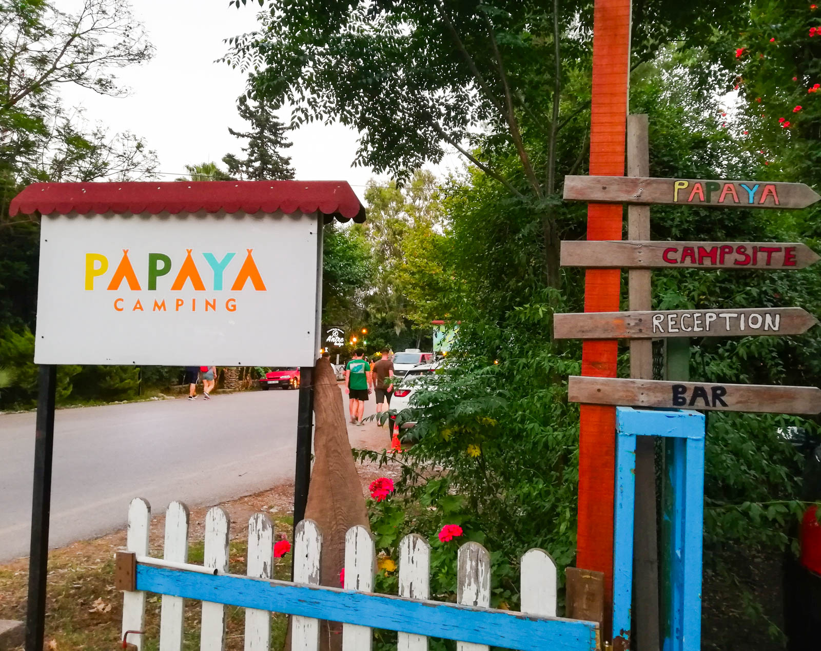 Papaya Camping