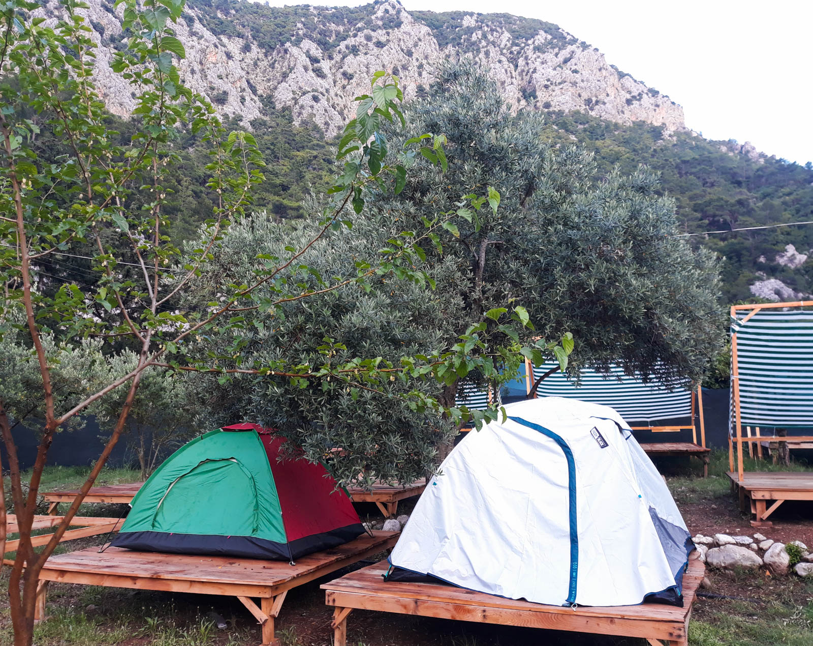 Olympos Orange Camping