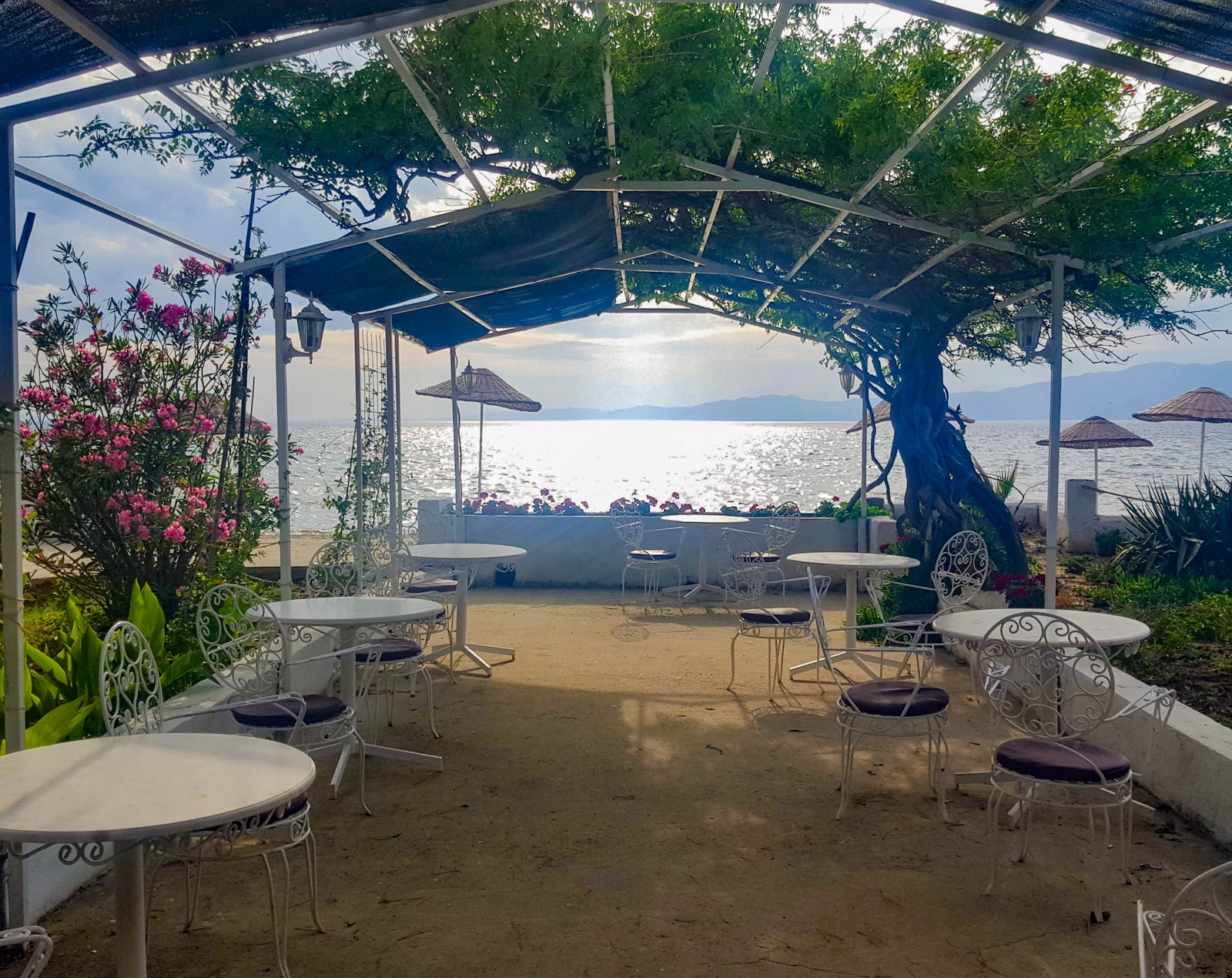 Altın Camp