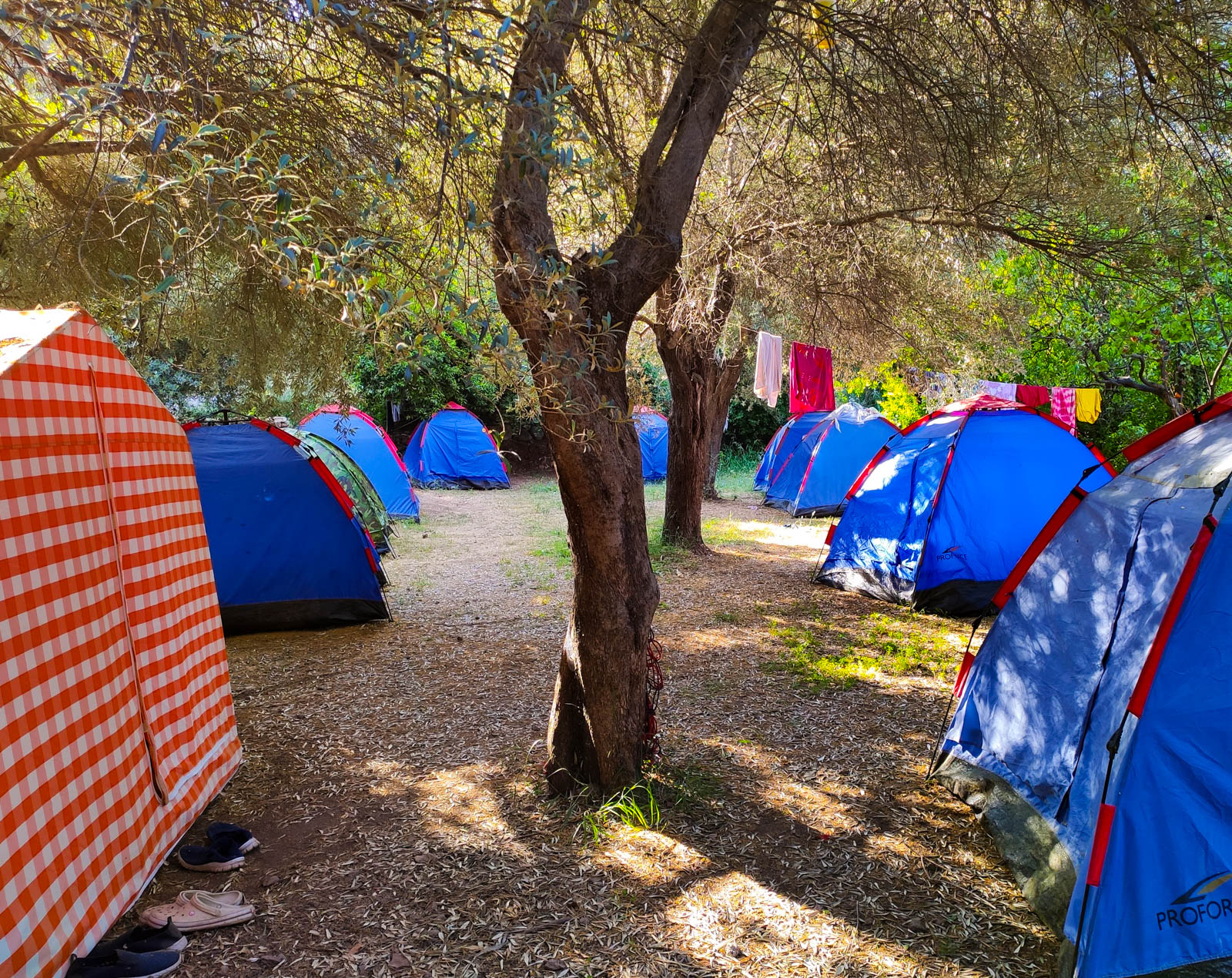 Yerdeniz Kamp